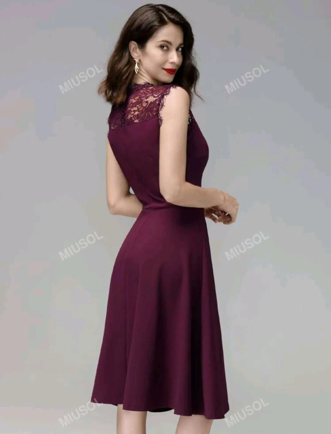 Burgundy Lace Sleeveless Dress image indicator(4)