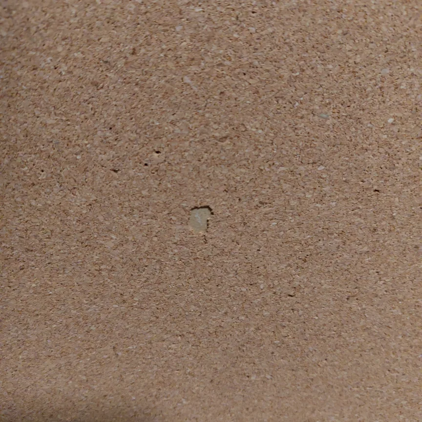 Corkboard with Tacks image indicator(5)