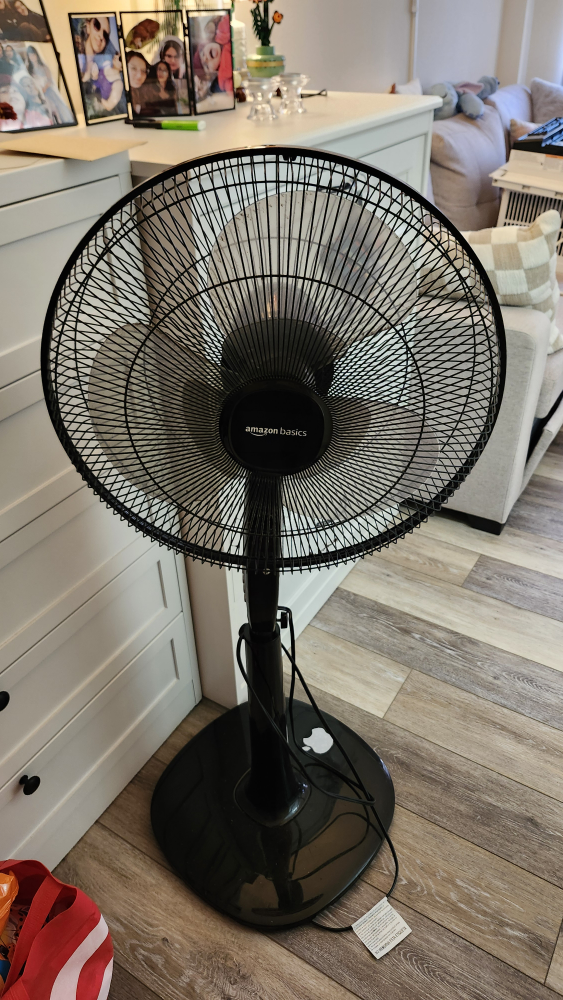 Black Standing Fan