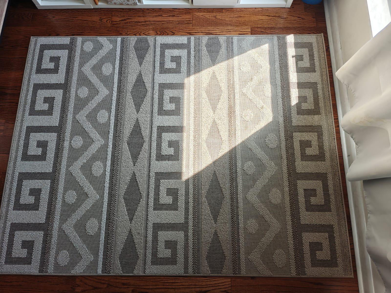Costco Area Rug - photo 4