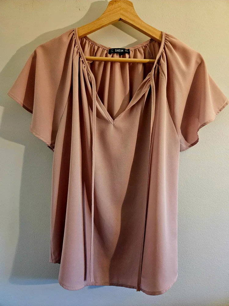Pink Blouse thumbnail