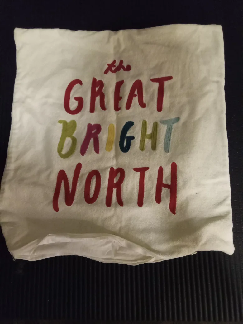 Indigo 'Great Bright North' Cushion Cover thumbnail