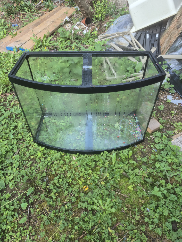 Bow Front Fish Tank