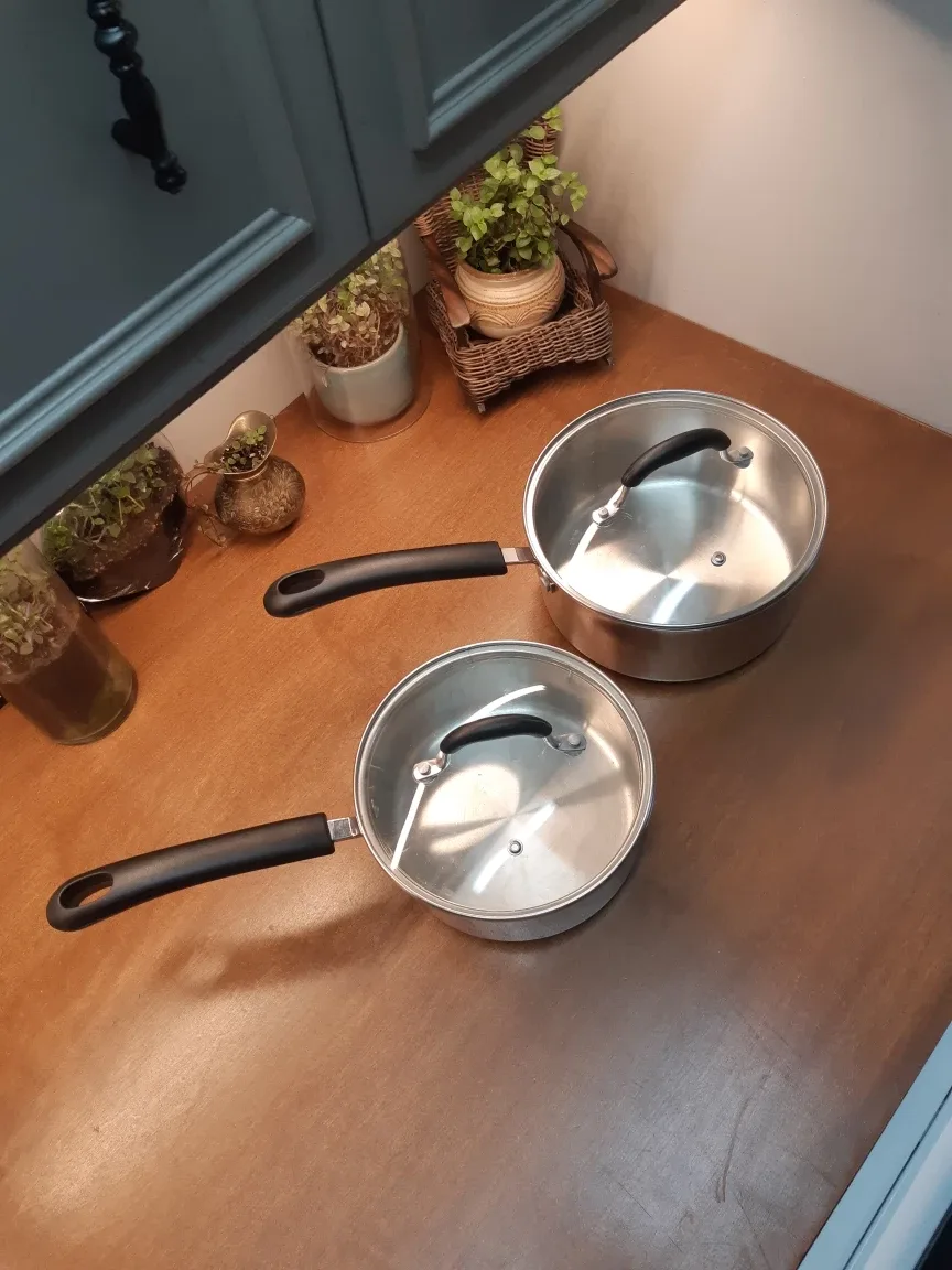 set of 2 master chef pots with lids