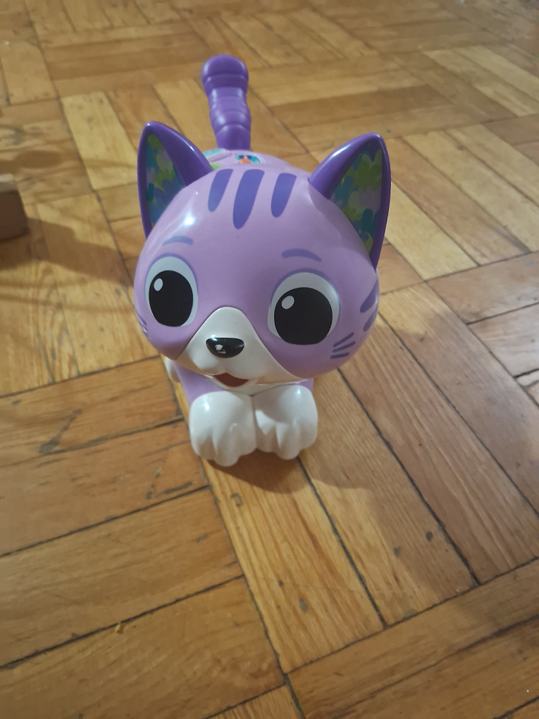 VTech Pull and Sing Puppy