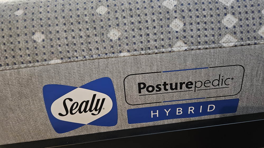 Queen Mattress (Sealy firm) and Bed Frame - photo 2