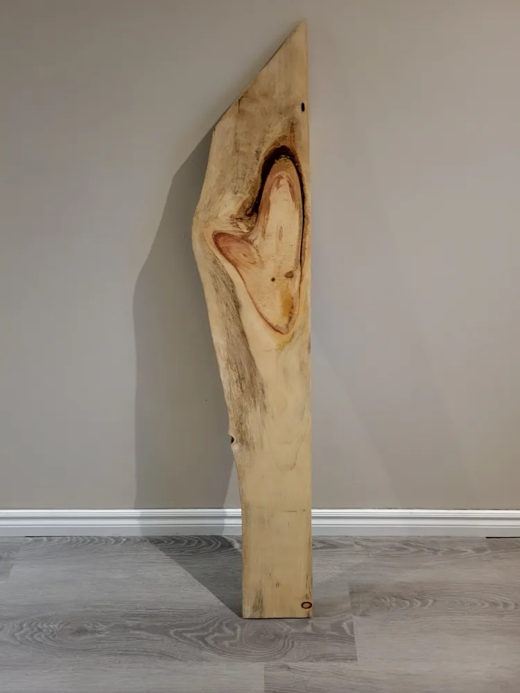 Unique Wooden Slab - 47 Inches Tall image indicator(2)