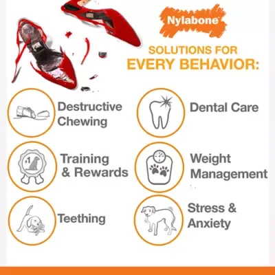 Teething Puppy Chew - Chicken Flavor image indicator(4)