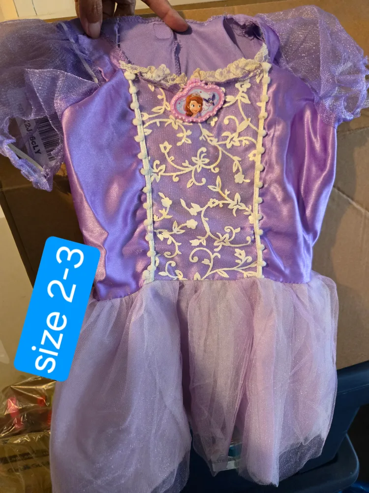 Sofia the First Dress - Size 2-3