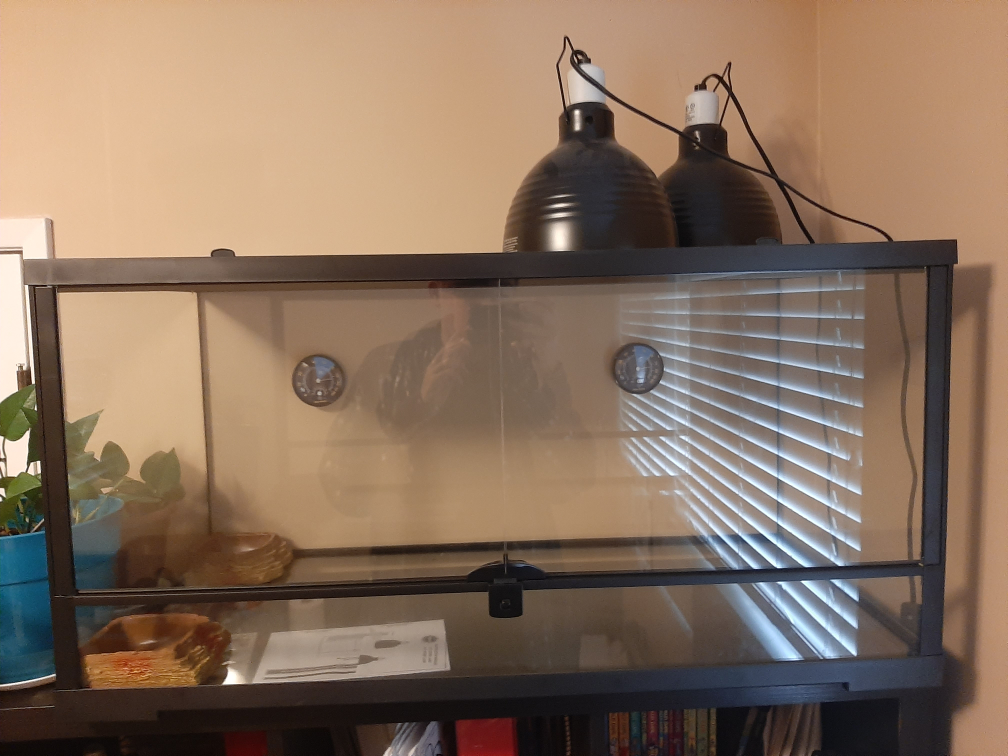 Thrive Reptile Terrarium 40 Gallons.