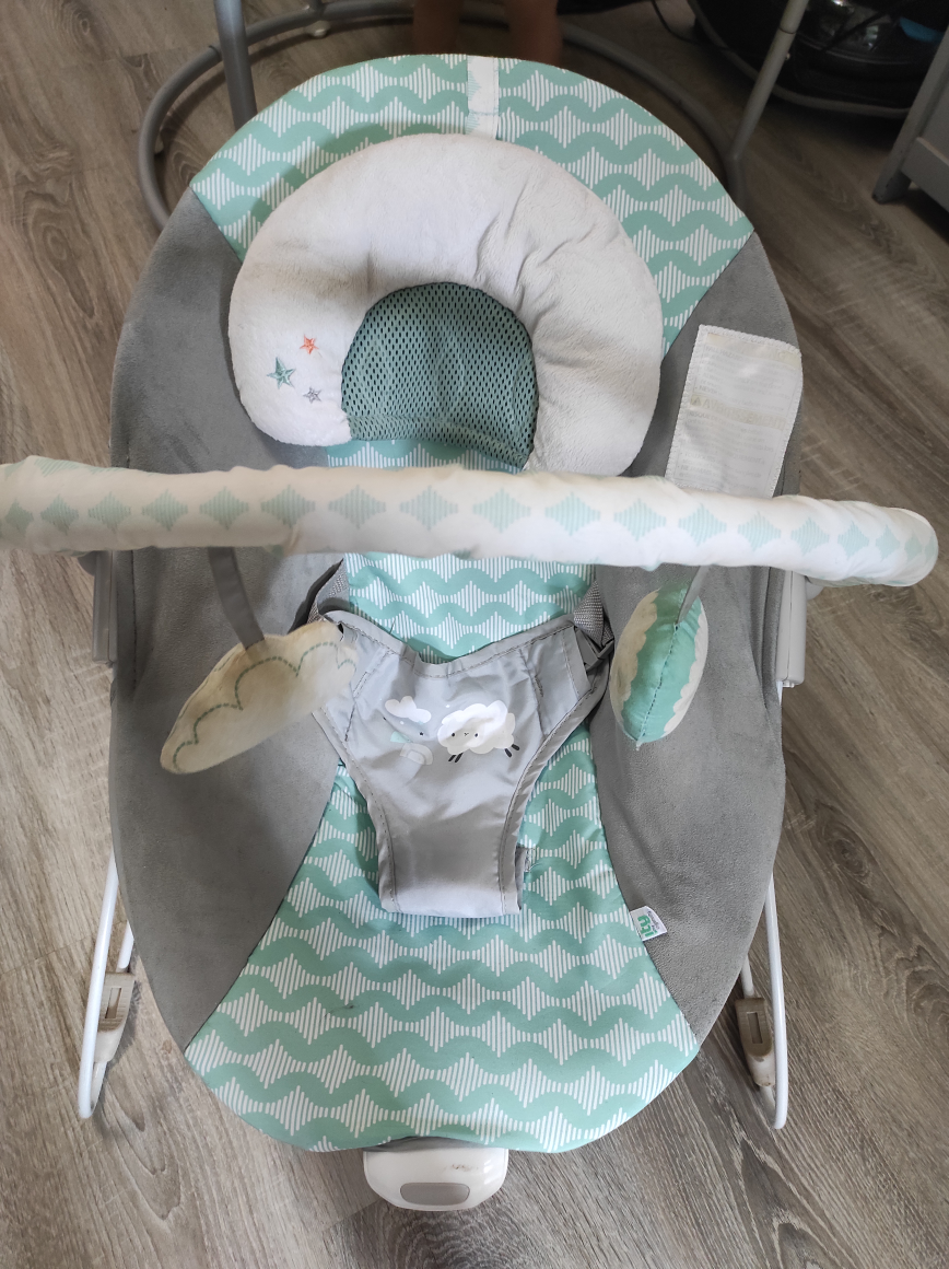 Ingenuity Baby Bouncer Seat