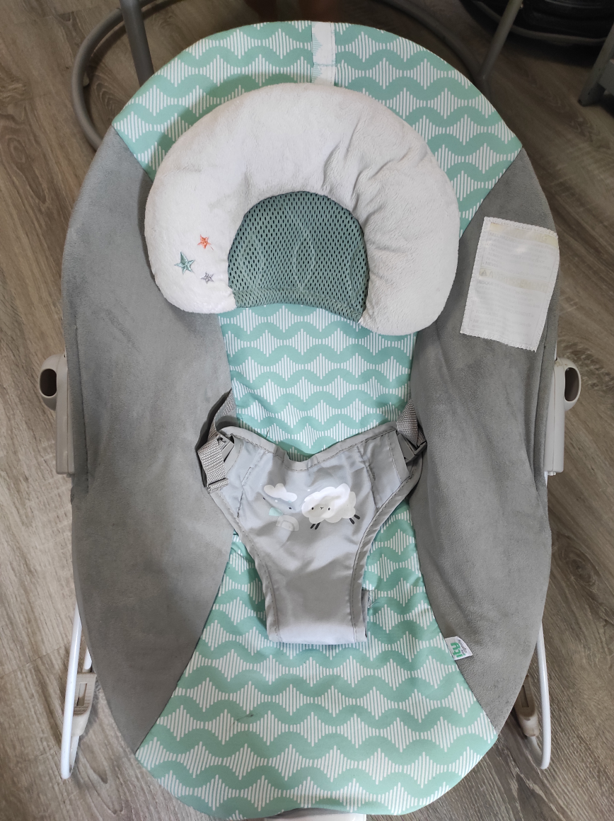 Ingenuity Baby Bouncer Seat - photo 2