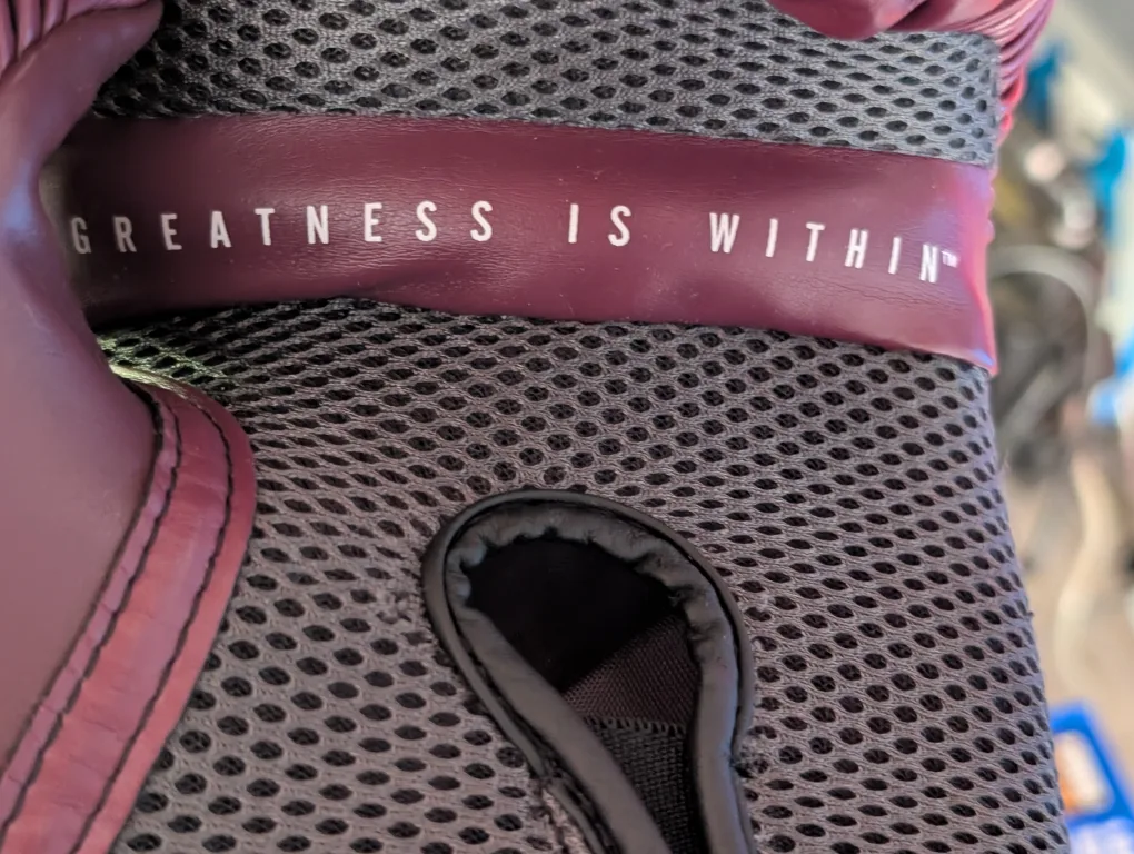 Everlast Elite Pro Style Training Gloves - Burgundy image indicator(3)