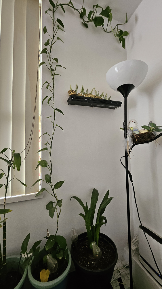 IKEA TÅGARP Floor Uplighter/Reading Lamp