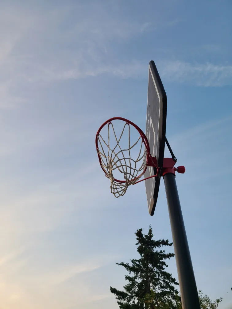 Tarmak basketball hoop image indicator(3)