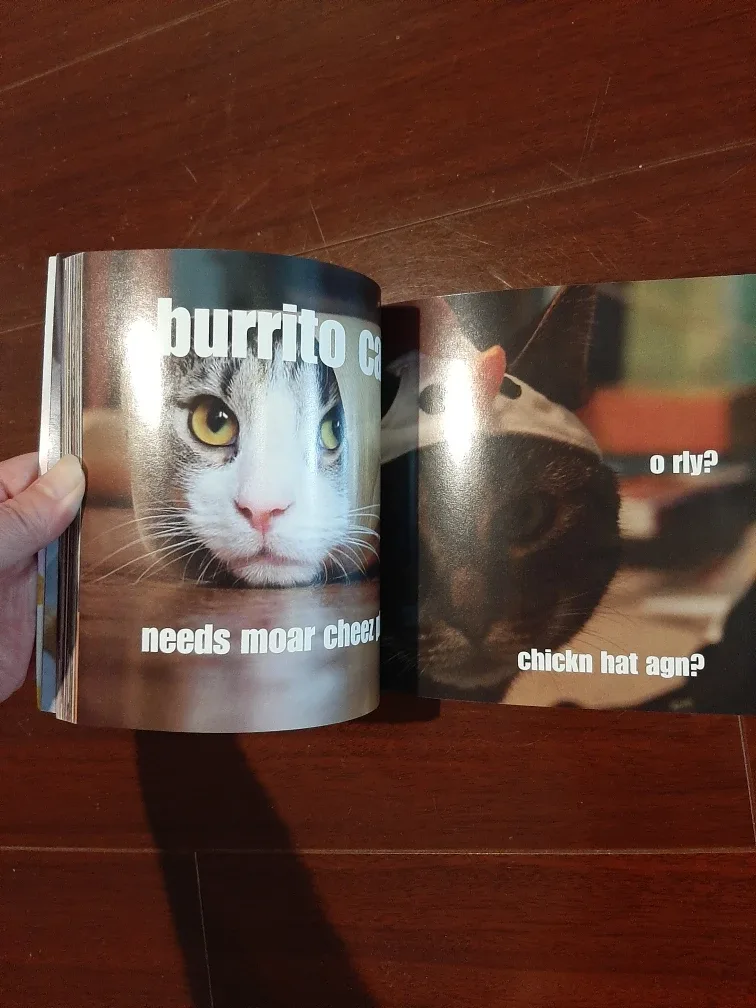 "I Can Has Cheezburger?" LOLcat Collection Book image indicator(2)