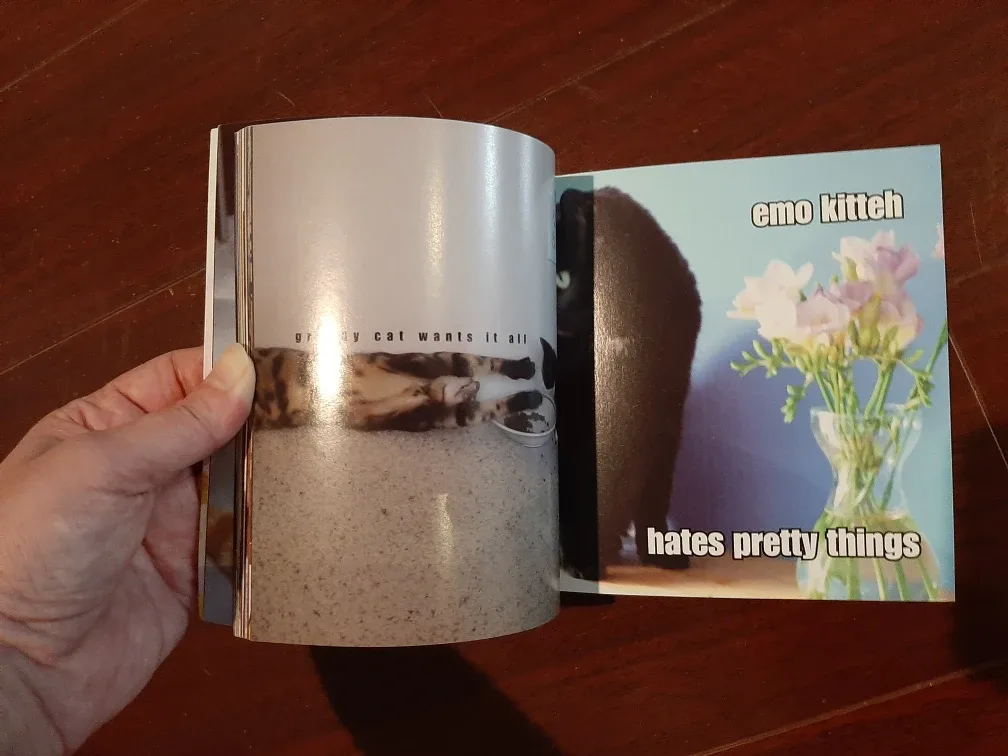 "I Can Has Cheezburger?" LOLcat Collection Book image indicator(4)