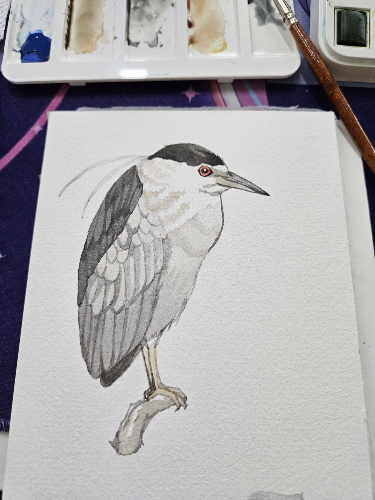 Beginner s watercolor class - photo 5
