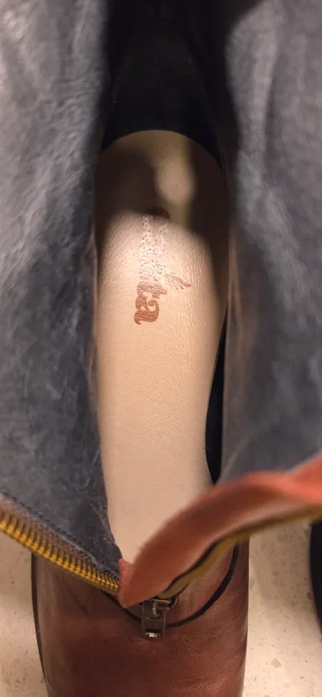 Casta  Brown Leather Ankle Boots with black bow image indicator(8)