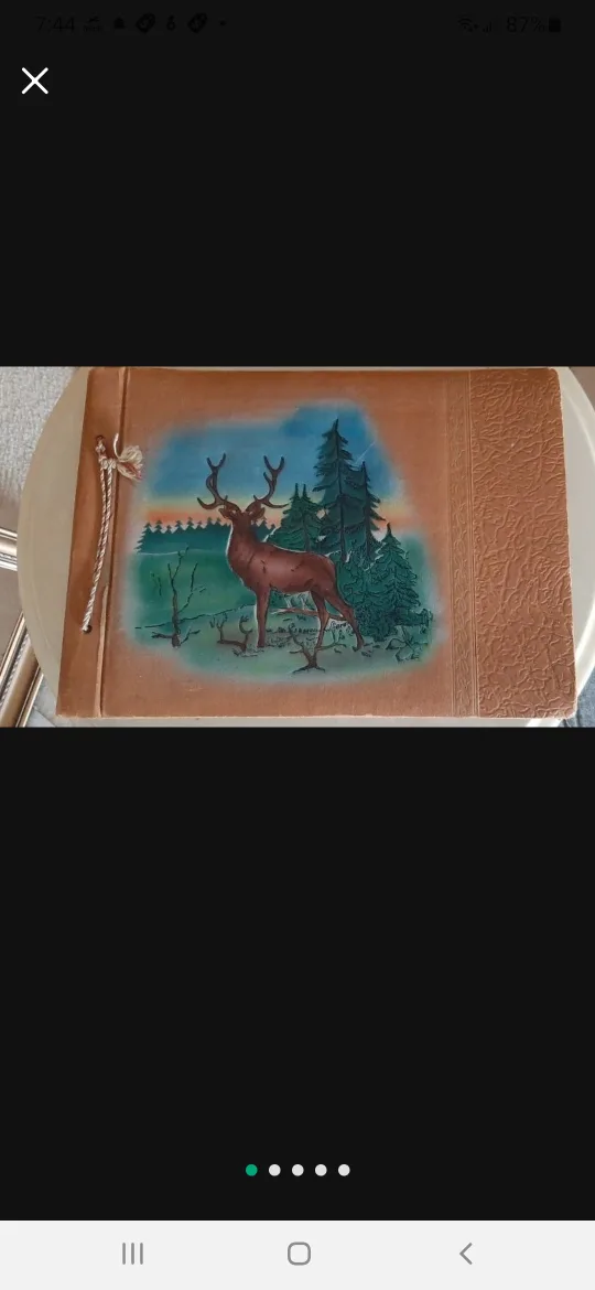 Vintage Photo Album with Buck Design thumbnail
