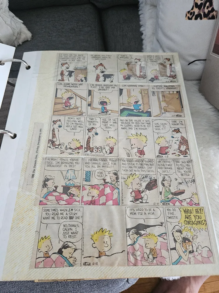 Calvin and Hobbes Comic Collection image indicator(2)