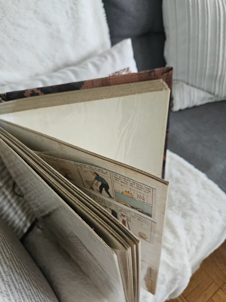 Calvin and Hobbes Comic Collection image indicator(5)