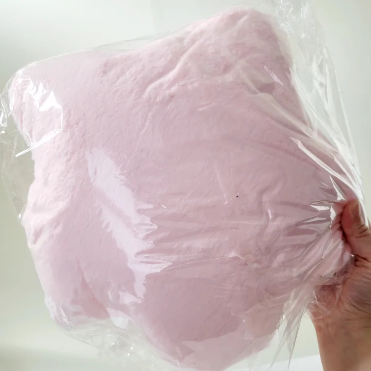 Little Twin Stars Plushies Toy image indicator(3)