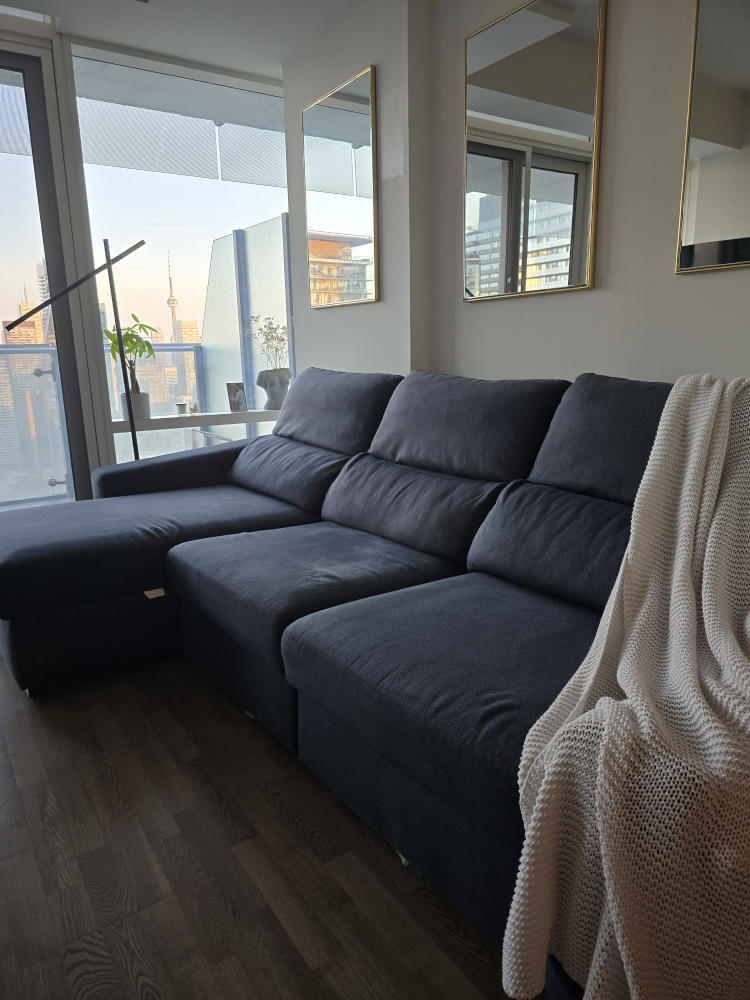 Structube Sectional Sofa (Pull Out) + Cushions