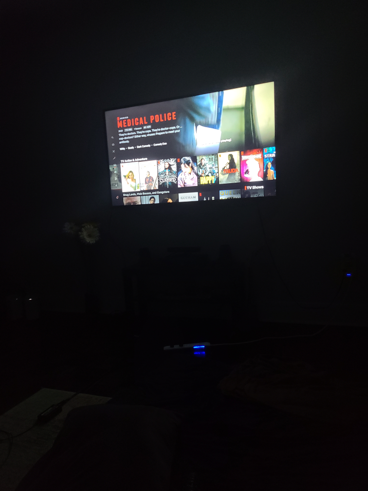 Sharp Roku TV 60" 4K UHD - photo 3