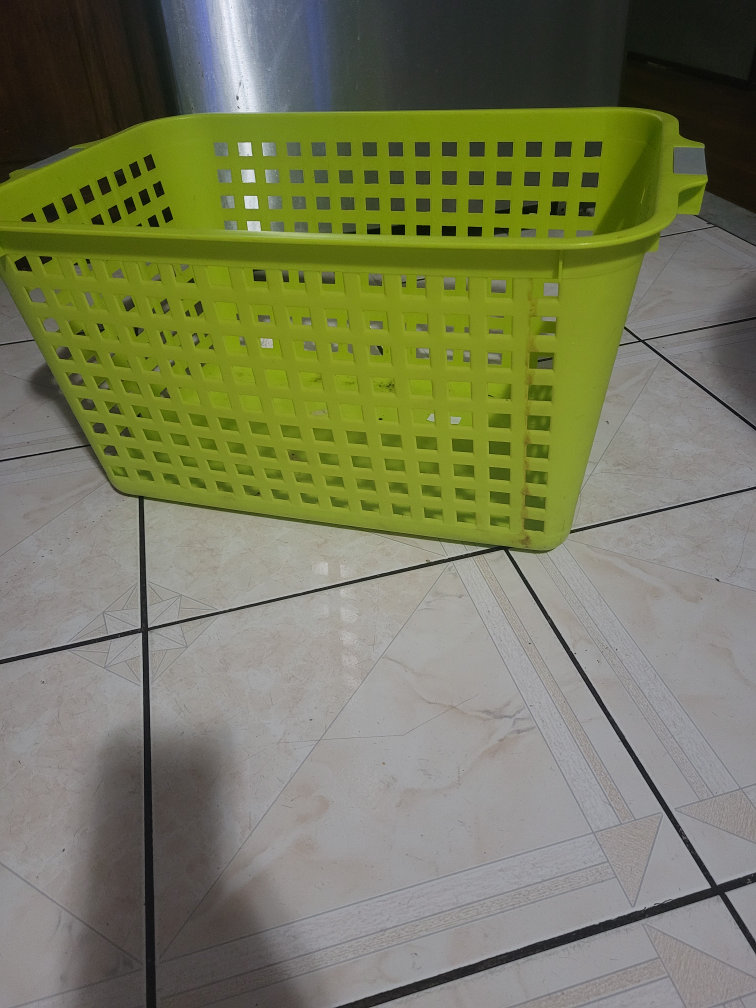 Green Plastic Storage Basket