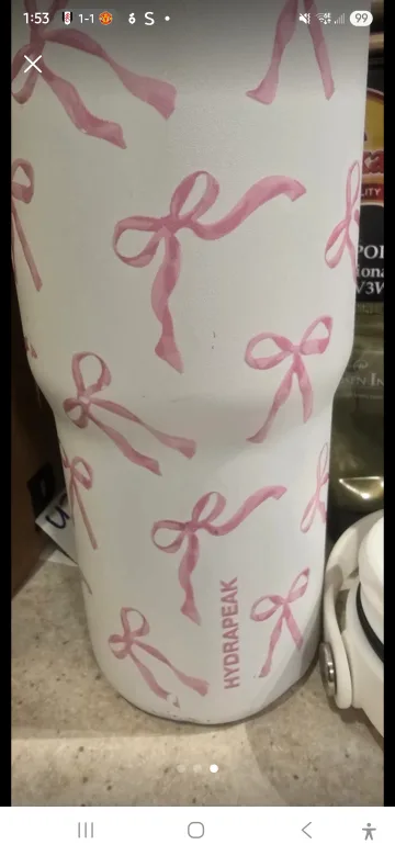 Hydrapeak Tumbler with Pink Bows thumbnail