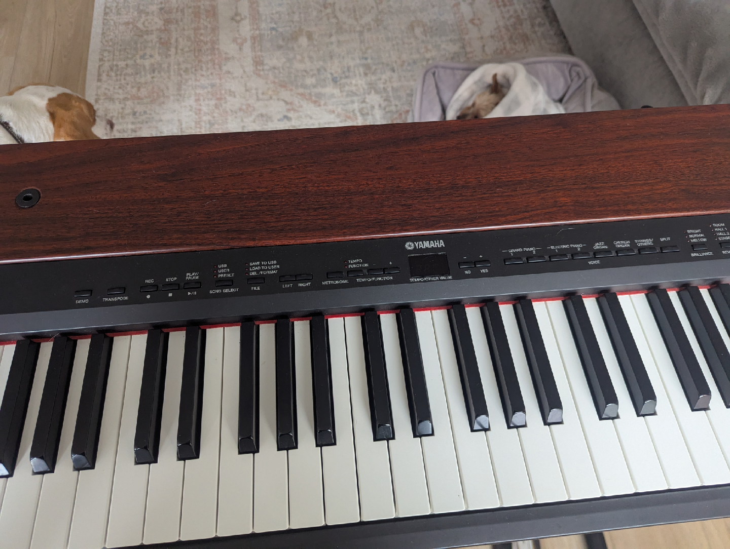 Yamaha P-155 Digital Piano - photo 2