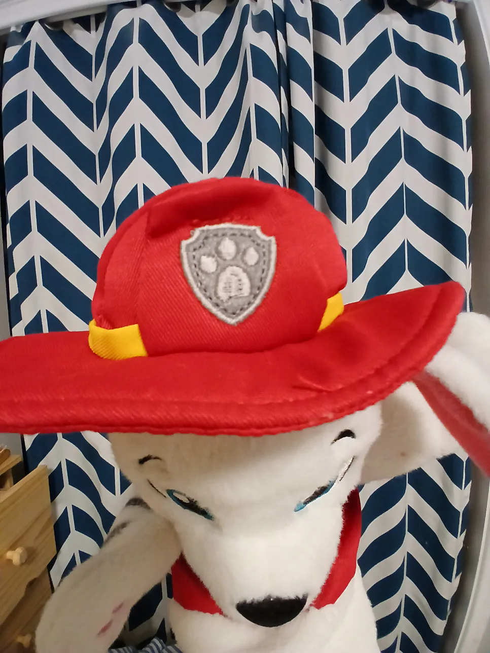 Marshall Paw Patroll hand pullet image indicator(2)