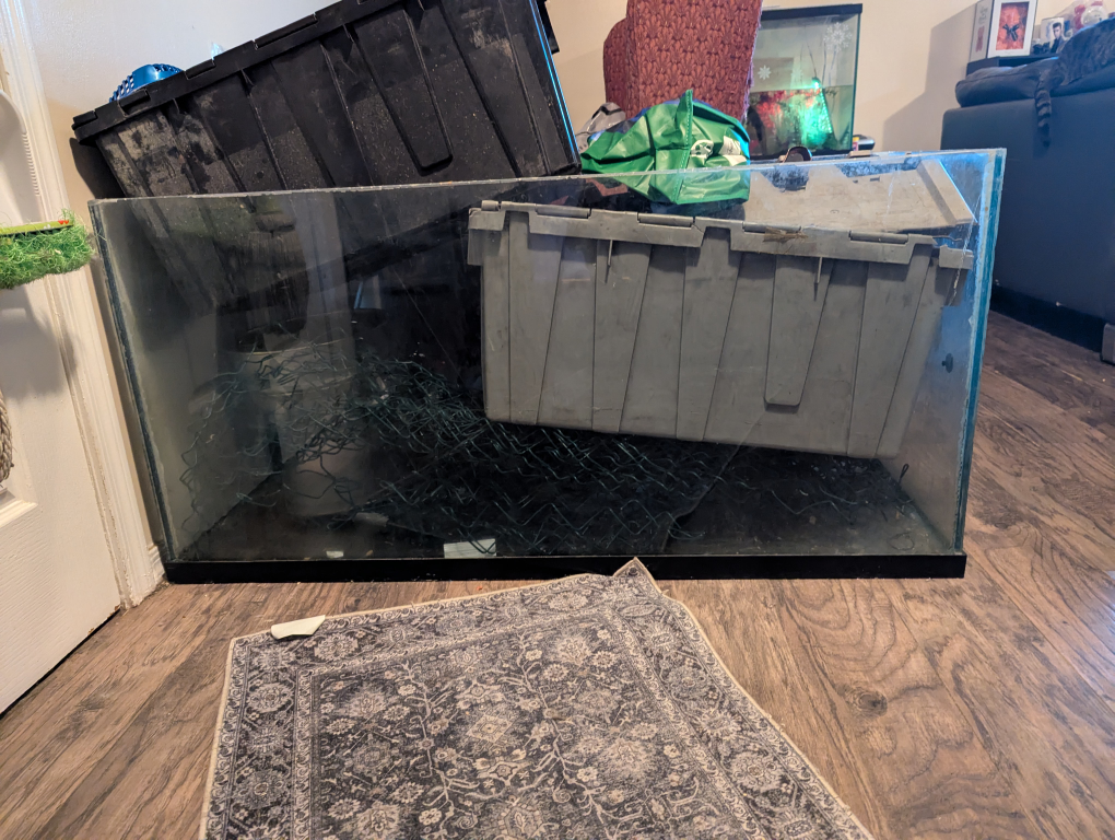 Fish Tank