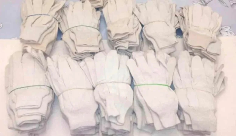 Work Gloves - Bundle - Large size thumbnail