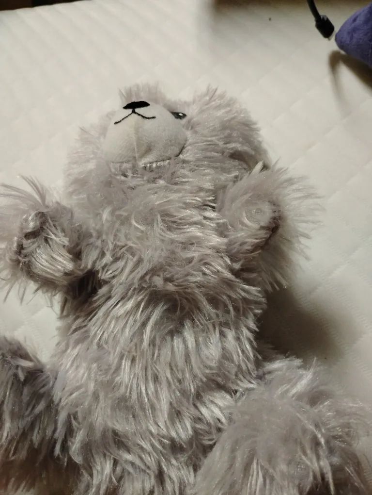 Grey Stuffed Animal thumbnail