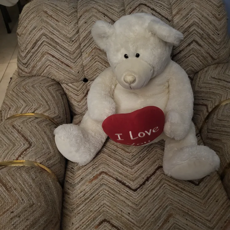 White Plush Teddy Bear with Heart thumbnail