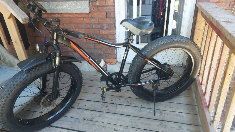 Taurus Fat Tire Electric Bike