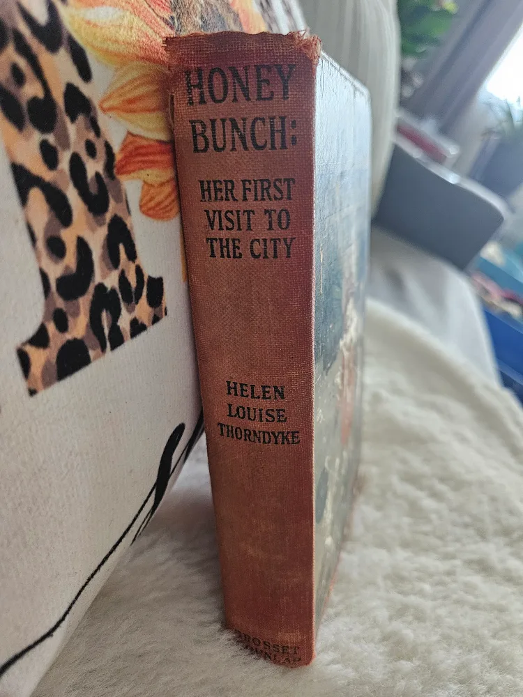 Honey Bunch: Her First Visit to the City by Helen Thorndyke image indicator(2)