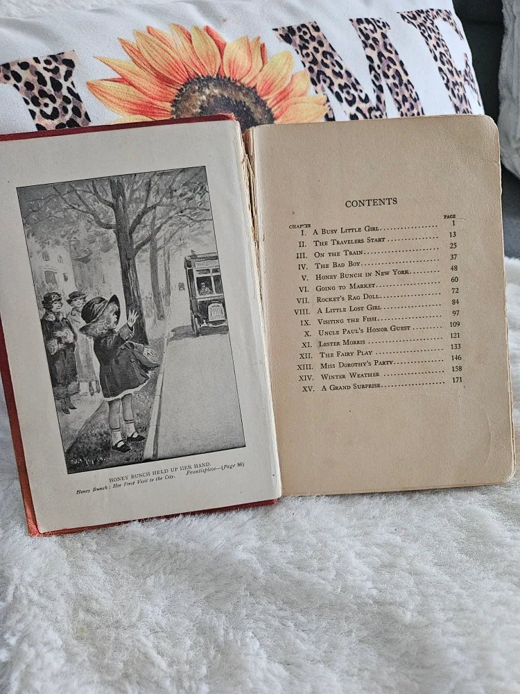 Honey Bunch: Her First Visit to the City by Helen Thorndyke image indicator(5)