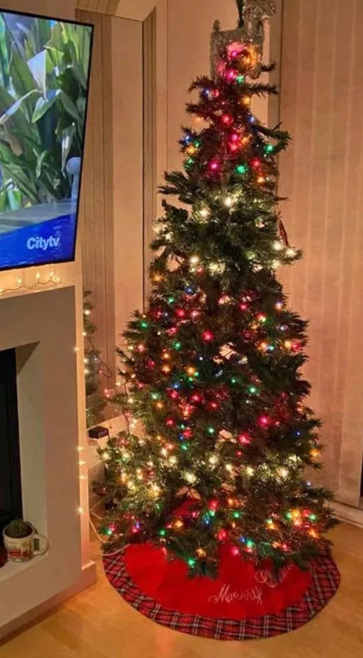 7.5 foot Christmas tree 🎄 thumbnail