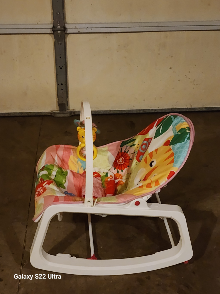 Fisher-Price Infant-To-Toddler Rocker - photo 2
