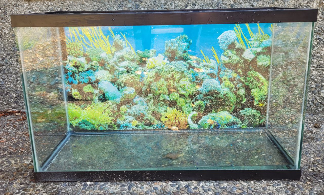 30 gallon aquarium - photo 2