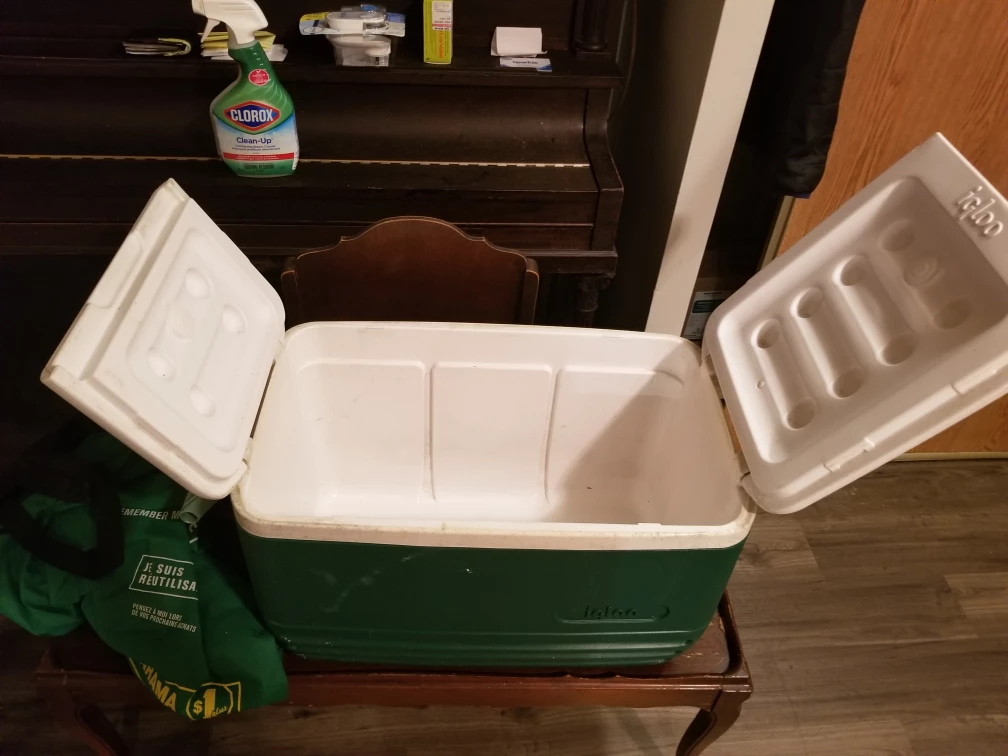 Igloo Cooler - Green & White