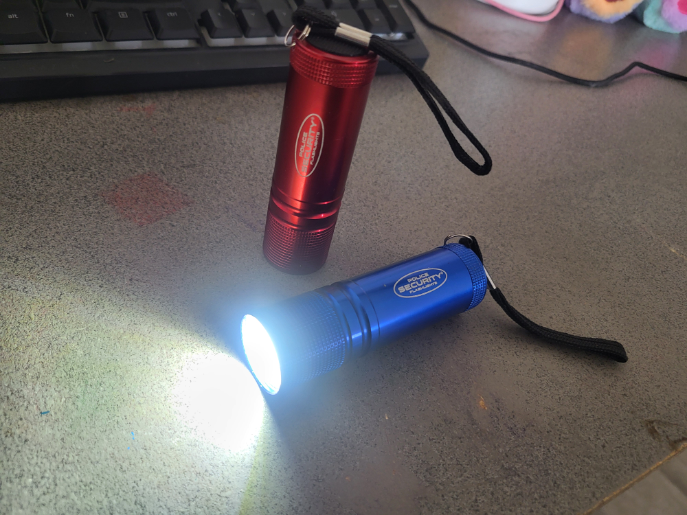 Police Security Flashlight Set