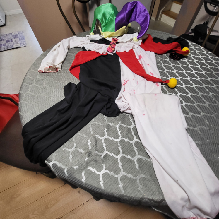 Harlequin/Jester Costume Sz Large - photo 2