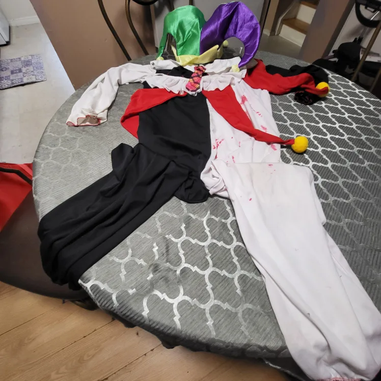 Harlequin/Jester Costume Sz Large image indicator(2)