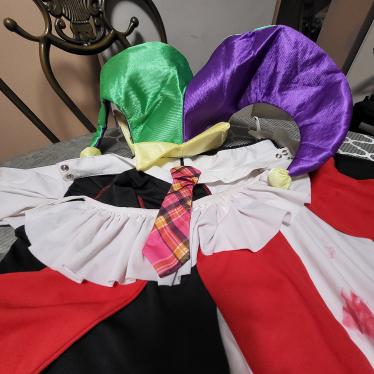 Harlequin/Jester Costume Sz Large - photo 3