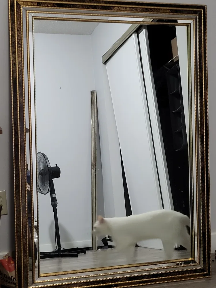 Ornate Framed Mirror | Golden Leaf Beveled Mirror thumbnail