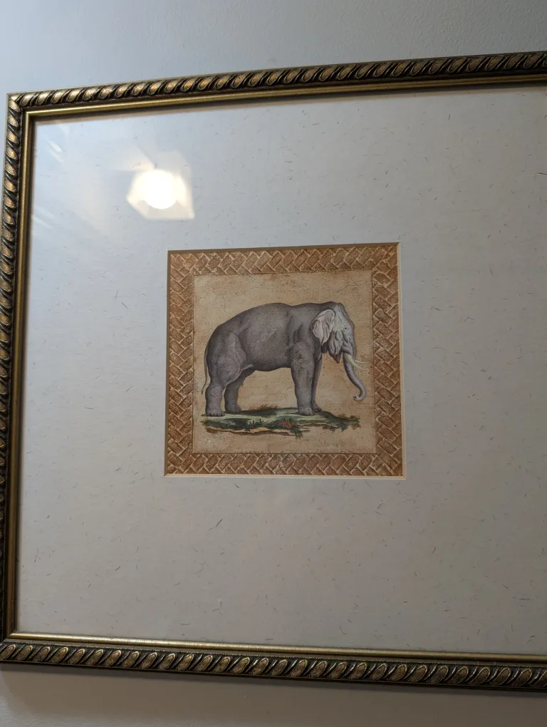 Framed Elephant Print thumbnail